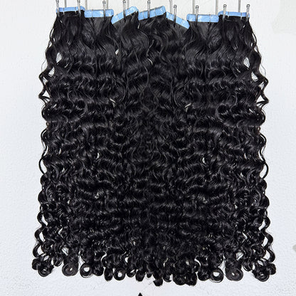 Burmese Curly 